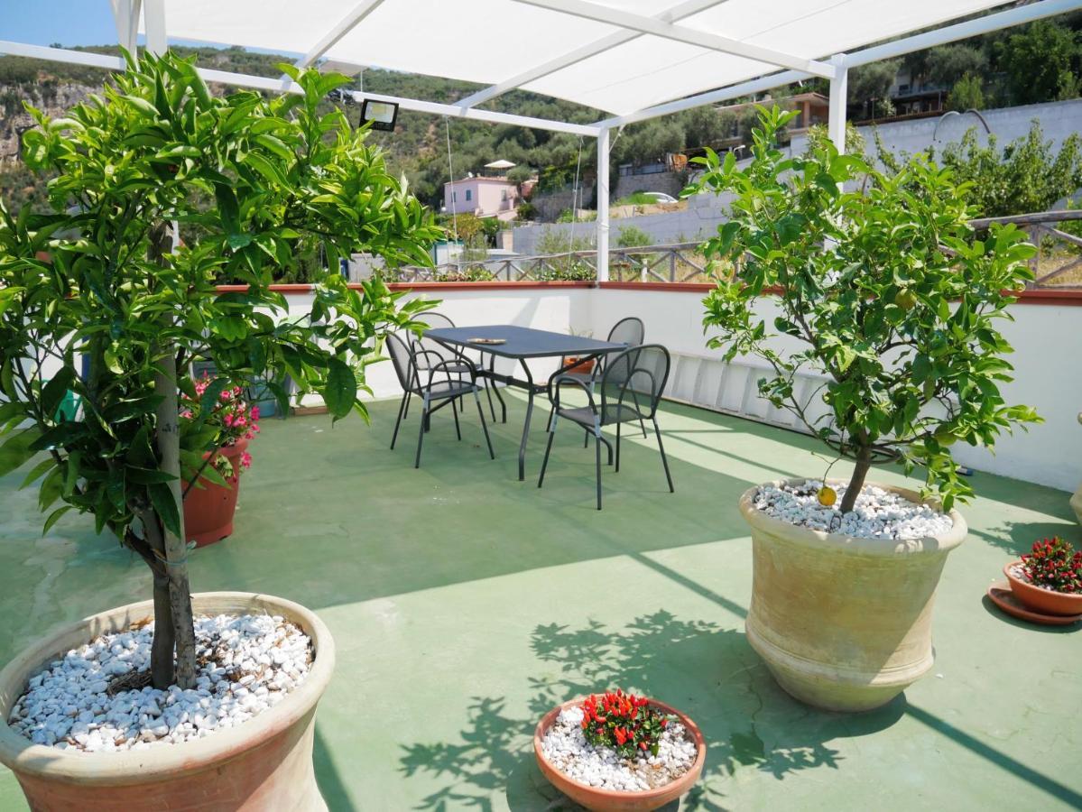 Olindo Apartment E Cristina Apartments Вико Екуензе Екстериор снимка
